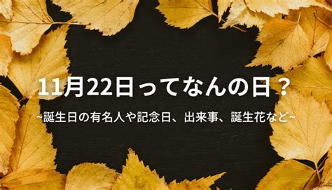 11月22日|11月22日